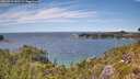 ./images/calvert/foggy-cove/20260713/foggy-cove20260713_141501M.jpg