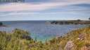 ./images/calvert/foggy-cove/20260713/foggy-cove20260713_151001M.jpg