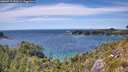 ./images/calvert/foggy-cove/20260713/foggy-cove20260713_152001M.jpg