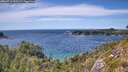 ./images/calvert/foggy-cove/20260713/foggy-cove20260713_152502M.jpg