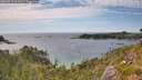 ./images/calvert/foggy-cove/20260713/foggy-cove20260713_163501M.jpg