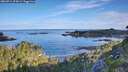 ./images/calvert/foggy-cove/20260714/foggy-cove20260714_074501M.jpg