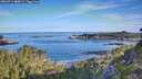 ./images/calvert/foggy-cove/20260714/foggy-cove20260714_080001M.jpg