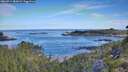 ./images/calvert/foggy-cove/20260714/foggy-cove20260714_081002M.jpg