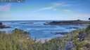 ./images/calvert/foggy-cove/20260714/foggy-cove20260714_081502M.jpg
