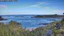 ./images/calvert/foggy-cove/20260714/foggy-cove20260714_082001M.jpg