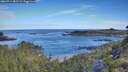 ./images/calvert/foggy-cove/20260714/foggy-cove20260714_082501M.jpg