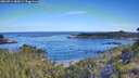 ./images/calvert/foggy-cove/20260714/foggy-cove20260714_085001M.jpg