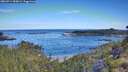 ./images/calvert/foggy-cove/20260714/foggy-cove20260714_090002M.jpg