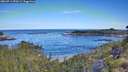 ./images/calvert/foggy-cove/20260714/foggy-cove20260714_090501M.jpg
