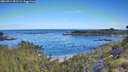 ./images/calvert/foggy-cove/20260714/foggy-cove20260714_091501M.jpg