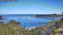 ./images/calvert/foggy-cove/20260714/foggy-cove20260714_092001M.jpg