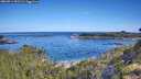 ./images/calvert/foggy-cove/20260714/foggy-cove20260714_092501M.jpg