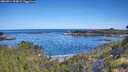 ./images/calvert/foggy-cove/20260714/foggy-cove20260714_093002M.jpg