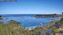 ./images/calvert/foggy-cove/20260714/foggy-cove20260714_093502M.jpg