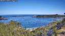 ./images/calvert/foggy-cove/20260714/foggy-cove20260714_095001M.jpg