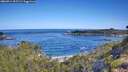 ./images/calvert/foggy-cove/20260714/foggy-cove20260714_095502M.jpg