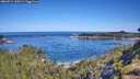 ./images/calvert/foggy-cove/20260714/foggy-cove20260714_100501M.jpg