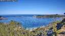 ./images/calvert/foggy-cove/20260714/foggy-cove20260714_101001M.jpg