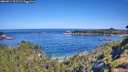 ./images/calvert/foggy-cove/20260714/foggy-cove20260714_101502M.jpg