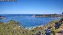 ./images/calvert/foggy-cove/20260714/foggy-cove20260714_102001M.jpg