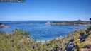 ./images/calvert/foggy-cove/20260714/foggy-cove20260714_102501M.jpg