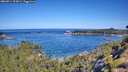 ./images/calvert/foggy-cove/20260714/foggy-cove20260714_103001M.jpg