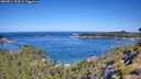 ./images/calvert/foggy-cove/20260714/foggy-cove20260714_104501M.jpg