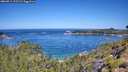 ./images/calvert/foggy-cove/20260714/foggy-cove20260714_111501M.jpg