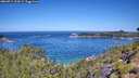 ./images/calvert/foggy-cove/20260714/foggy-cove20260714_112001M.jpg