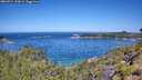 ./images/calvert/foggy-cove/20260714/foggy-cove20260714_113002M.jpg