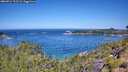 ./images/calvert/foggy-cove/20260714/foggy-cove20260714_113501M.jpg