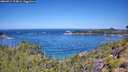 ./images/calvert/foggy-cove/20260714/foggy-cove20260714_114001M.jpg