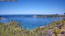 ./images/calvert/foggy-cove/20260714/foggy-cove20260714_114501M.jpg