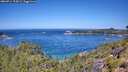 ./images/calvert/foggy-cove/20260714/foggy-cove20260714_115002M.jpg