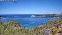 ./images/calvert/foggy-cove/20260714/foggy-cove20260714_120501M.jpg