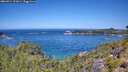 ./images/calvert/foggy-cove/20260714/foggy-cove20260714_121001M.jpg