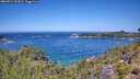 ./images/calvert/foggy-cove/20260714/foggy-cove20260714_122001M.jpg