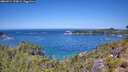 ./images/calvert/foggy-cove/20260714/foggy-cove20260714_123001M.jpg
