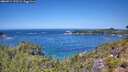 ./images/calvert/foggy-cove/20260714/foggy-cove20260714_123501M.jpg