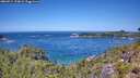 ./images/calvert/foggy-cove/20260714/foggy-cove20260714_124001M.jpg