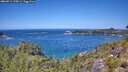./images/calvert/foggy-cove/20260714/foggy-cove20260714_125001M.jpg