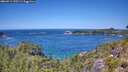 ./images/calvert/foggy-cove/20260714/foggy-cove20260714_130501M.jpg