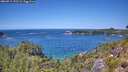 ./images/calvert/foggy-cove/20260714/foggy-cove20260714_132502M.jpg