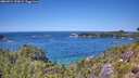 ./images/calvert/foggy-cove/20260714/foggy-cove20260714_133001M.jpg
