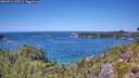 ./images/calvert/foggy-cove/20260714/foggy-cove20260714_133502M.jpg