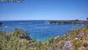 ./images/calvert/foggy-cove/20260714/foggy-cove20260714_134502M.jpg