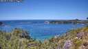 ./images/calvert/foggy-cove/20260714/foggy-cove20260714_135001M.jpg