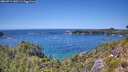 ./images/calvert/foggy-cove/20260714/foggy-cove20260714_140501M.jpg