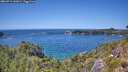 ./images/calvert/foggy-cove/20260714/foggy-cove20260714_141001M.jpg